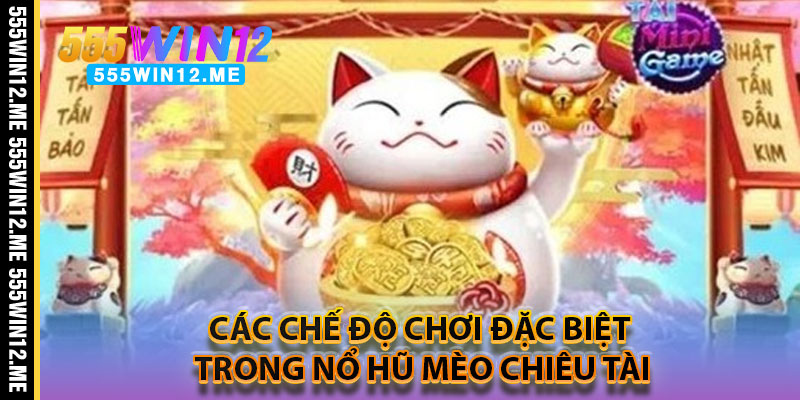Các Chế Độ Chơi Đặc Biệt Trong Nổ Hũ Mèo Chiêu Tài
